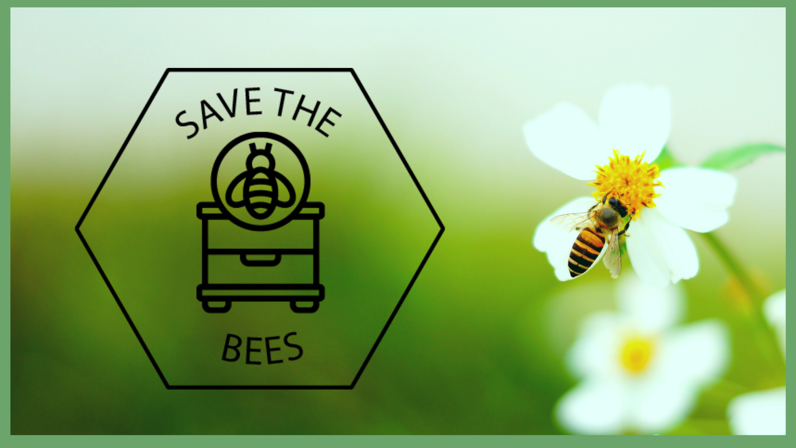 Save the Bees