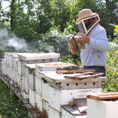 BeeLovelyBotanicals Adopt a Hive Save the Bees - Beekeeper checking bees in Michigan