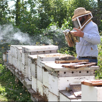 BeeLovelyBotanicals Adopt a Hive Save the Bees - Gift Box - Half Share Beekeeper checking bees in Michigan