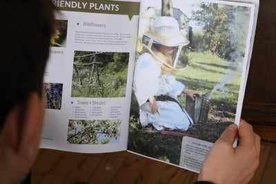 BeeLovelyBotanicals Adopt a Hive Save the Bees - Gift Box - Half Share Boy learning about bees from hive manual