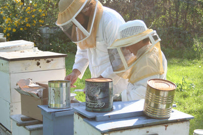 BeeLovelyBotanicals Adopt a Hive Save the Bees - Honey Full Share