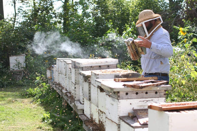 BeeLovelyBotanicals Adopt a Hive Save the Bees - Honey Half Share