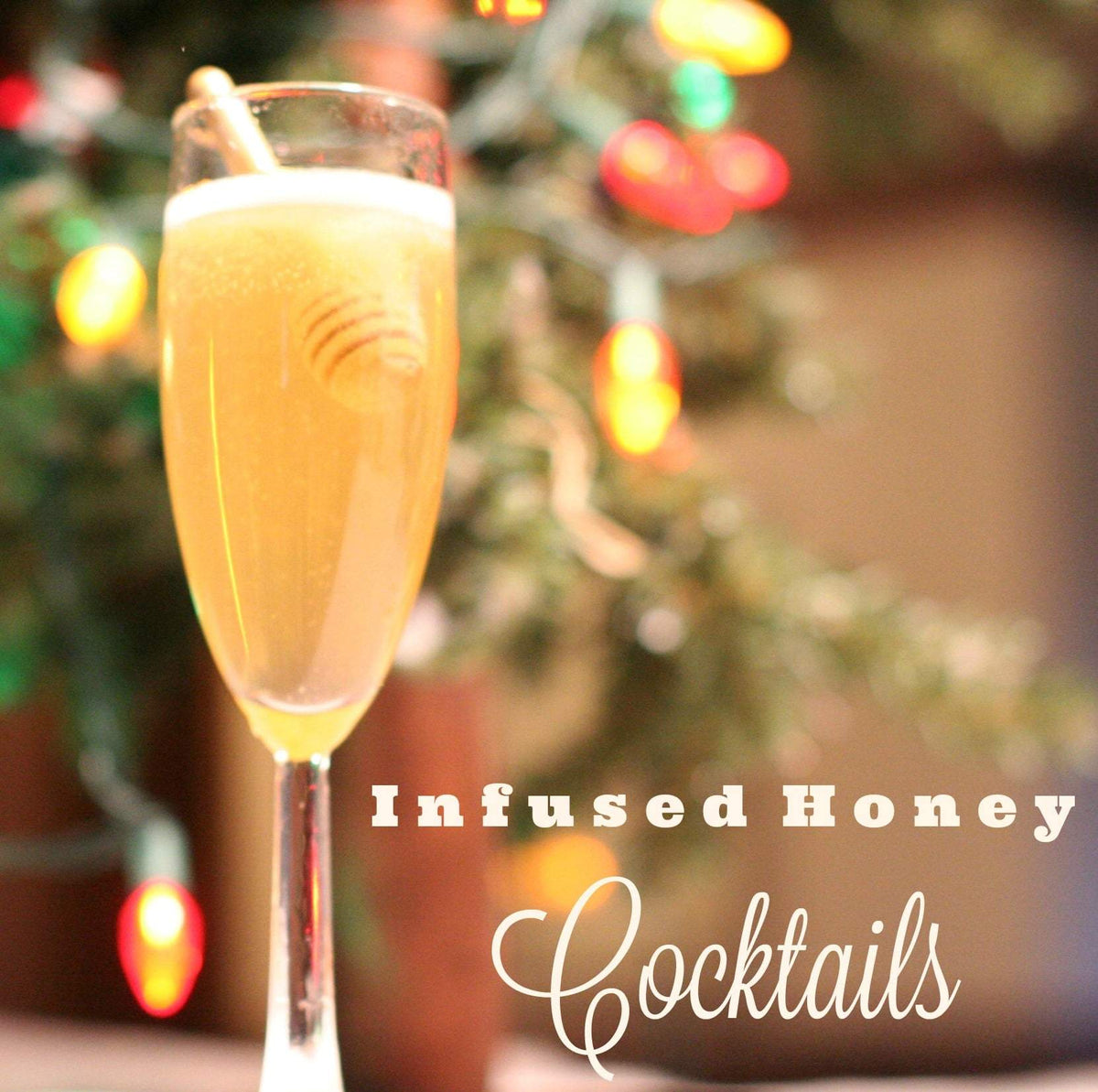 BeeLovelyBotanicals Infused Honey Gift Set