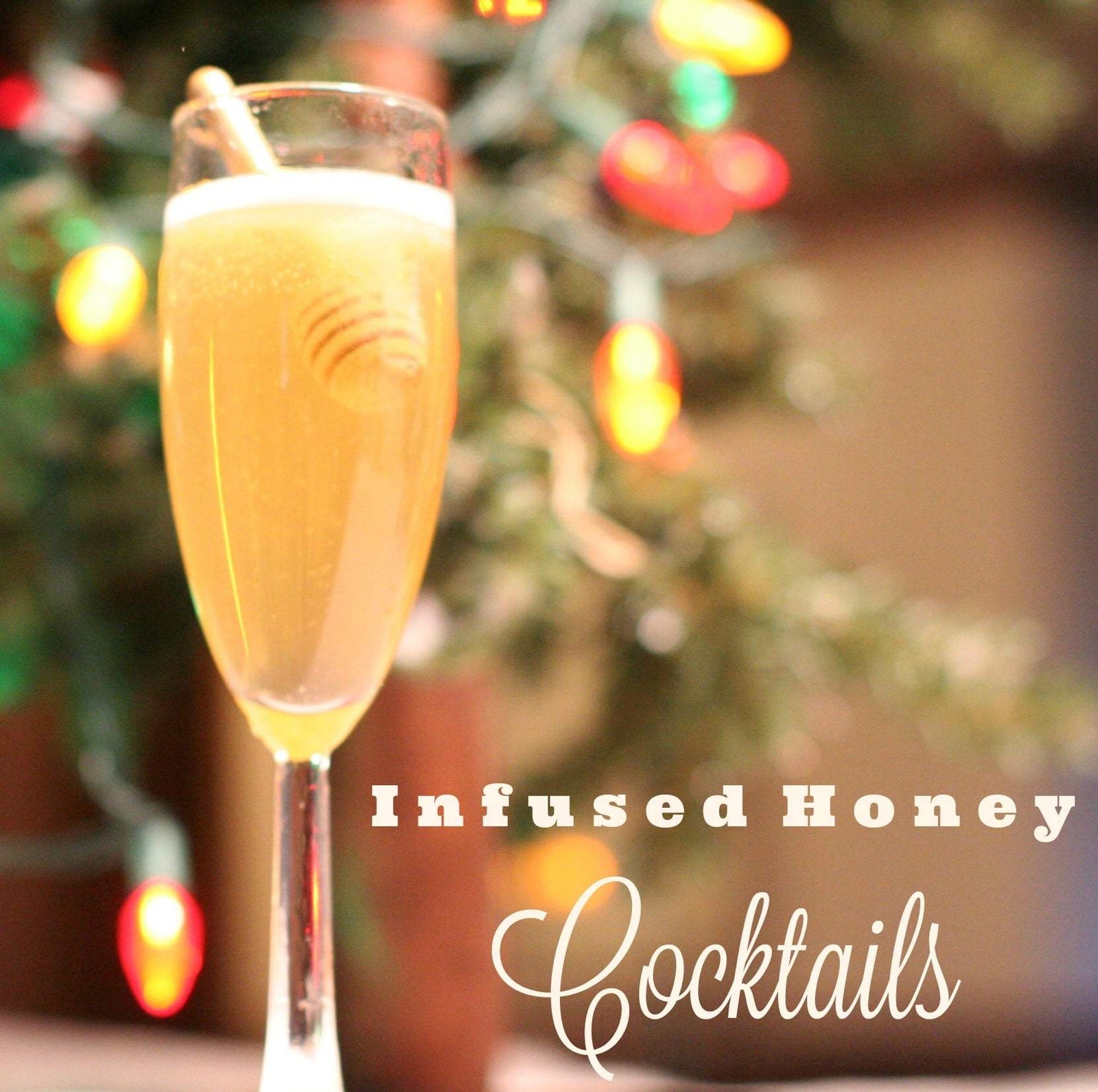 BeeLovelyBotanicals Infused Honey Gift Set