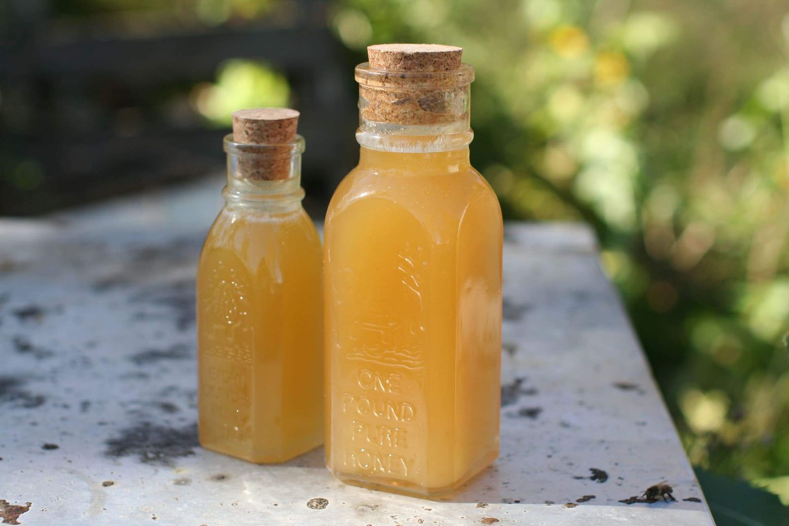 BeeLovelyBotanicals One Pound Raw Wildflower Honey