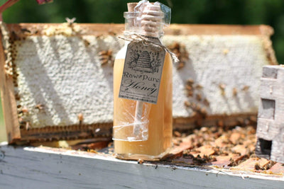 BeeLovelyBotanicals One Pound Raw Wildflower Honey